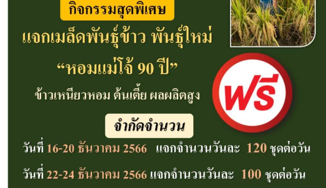 แจกฟรี!! เมล็ดพันธุ์ข้าวพันธุ์ใหม่ “หอมแม่โจ้ 90 ปี” ข้าวเหนียวหอม ต้นเตี้ย ผลผลิตสูง ในงานเกษตรแม่โจ้ 90 ปี ณ นิทรรศการโรงข้าว บริเวณหน้าอาคารชูติวัตร