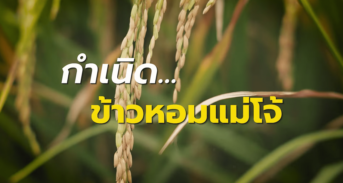 VDO : นิทรรศการ 9 นวัตกรรมเกษตรแม่โจ้ สู่ความยั่งยืน ในงานเกษตรแม่โจ้ 90 ปี วันที่ 16-24 ธันวาคม 2566